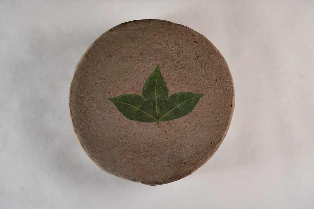 Sottocenere al Tartufo